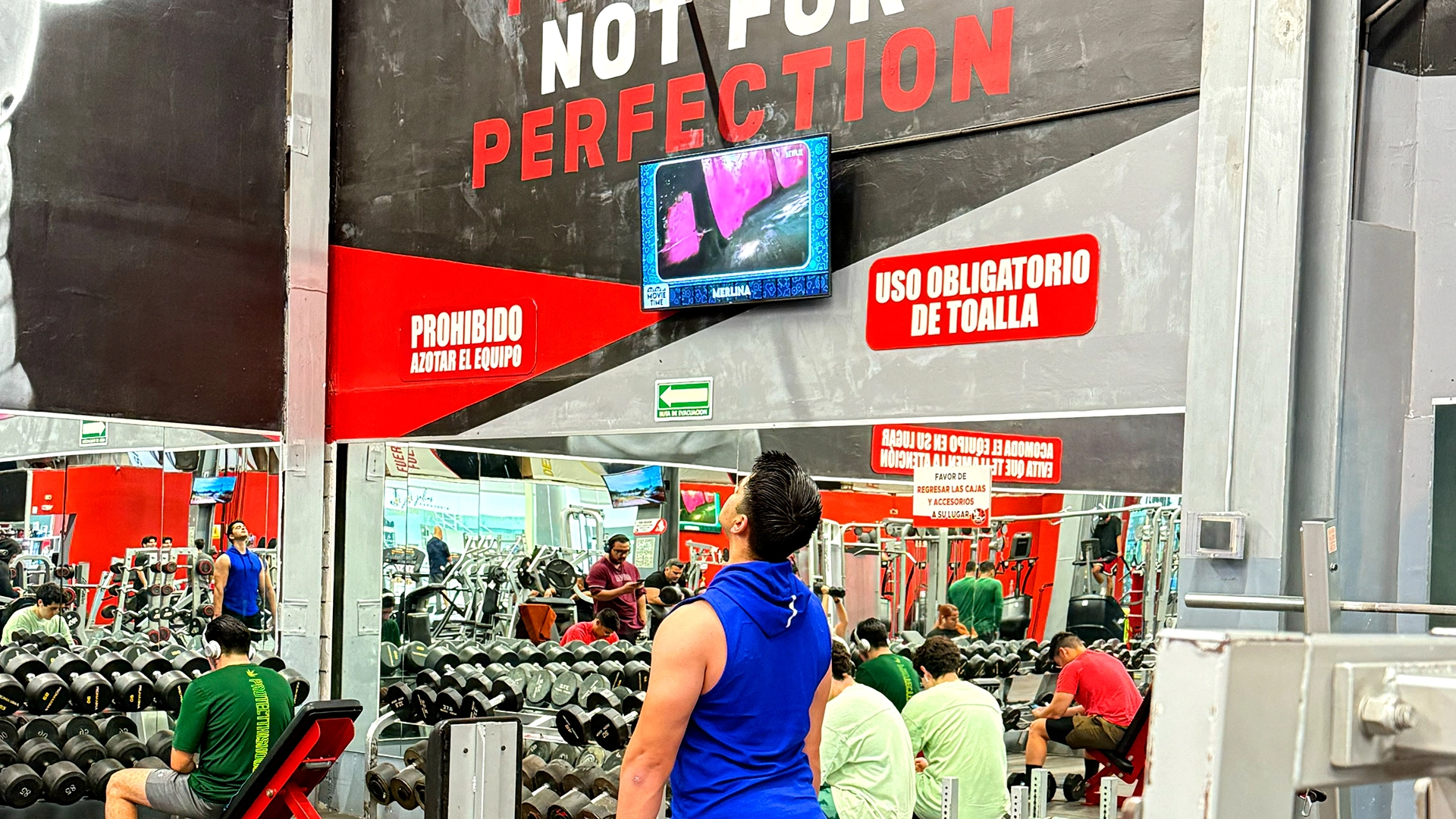 Zona de pesas con pantalla